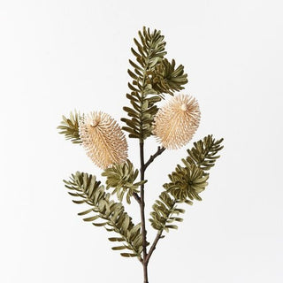 Banksia Spray