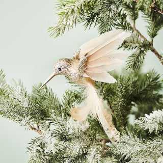 Ornament Hummingbird