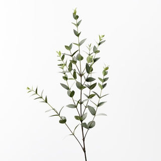 Eucalyptus Mini Leaf Spray