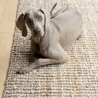 Kidman Jute Twist Rug